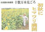 kitanihon.jpg